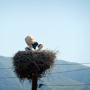 Левон II Из Рубенидов on My World.