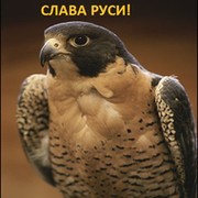 Юрий Яценко on My World.