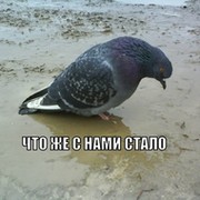 Антон Сурский on My World.