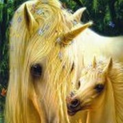 Лошади,лошади и все самое душевное группа в Моем Мире.