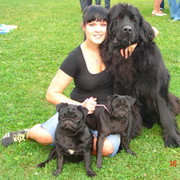 ВанЛенТайм -любители Ньюфаундлендов, Мопсов и др пород собак ))) группа в Моем Мире.