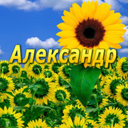 Александр Прусаков on My World.