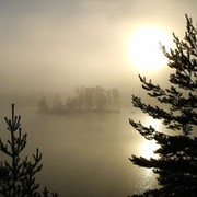 Эльнур Гаджиев on My World.