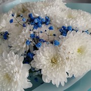 Евгения Асанова on My World.