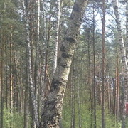 Виталий Белый on My World.