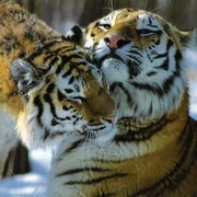 Анатолий Попов on My World.
