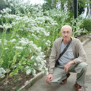 Александр Черемухин on My World.