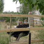 Александр Медведь on My World.