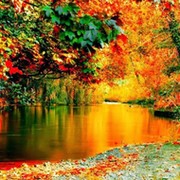 Aня К. on My World.