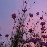 Анна Матушкина on My World.