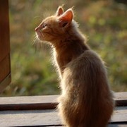 дашуня =* on My World.