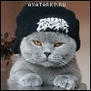 Олег Чмулев on My World.