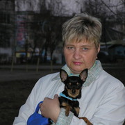 Стрижка для собак в новомосковске тульской области