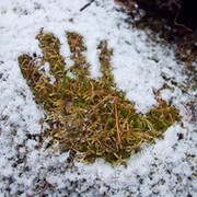 Дмитрий Грабовский on My World.