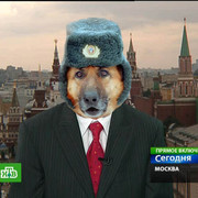 Дмитрий Михалыч on My World.