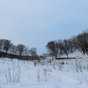 Дмитрий Афанасьев on My World.