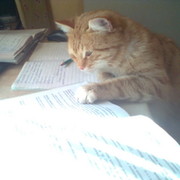 Ефим Моисеев on My World.