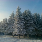 Александр Хромов on My World.