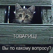 Александр Грачев on My World.