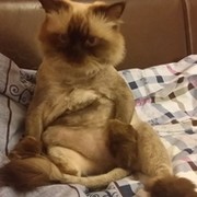 Александр  ,,, on My World.