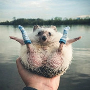 Лютый Казантип on My World.