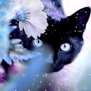 Оксана Кирсанова on My World.
