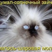 Lidiia Chernykh on My World.