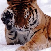 Людмила Каштанова on My World.