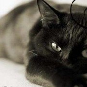 Алина Мицкевич on My World.