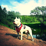 marat_z-net@mail.ru on My World.