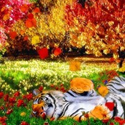 Алена ))) on My World.