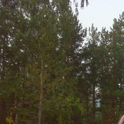 Сергей Пороскева on My World.