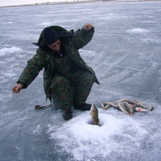 Владимир Мокшанов on My World.