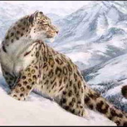 Созулкан Сыдыкова on My World.