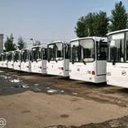 Наталья Сушко on My World.