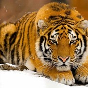 Михан Уваров on My World.
