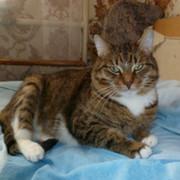 Вика Котова on My World.