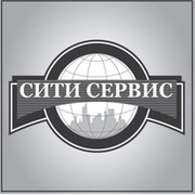 Сити сервис. ООО Сити сервис. Сити сервис лого. Сити сервис Арзамас логотип.