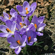 Татьяна Лазарева on My World.