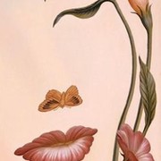 Тамара Алексеевна Васильева on My World.