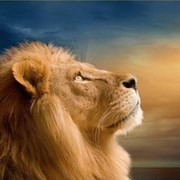 Антон Трифонов on My World.