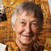 Ирина Чеснокова on My World.