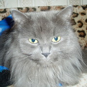 Екатерина Воеводина on My World.