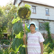 vera krasnova on My World.